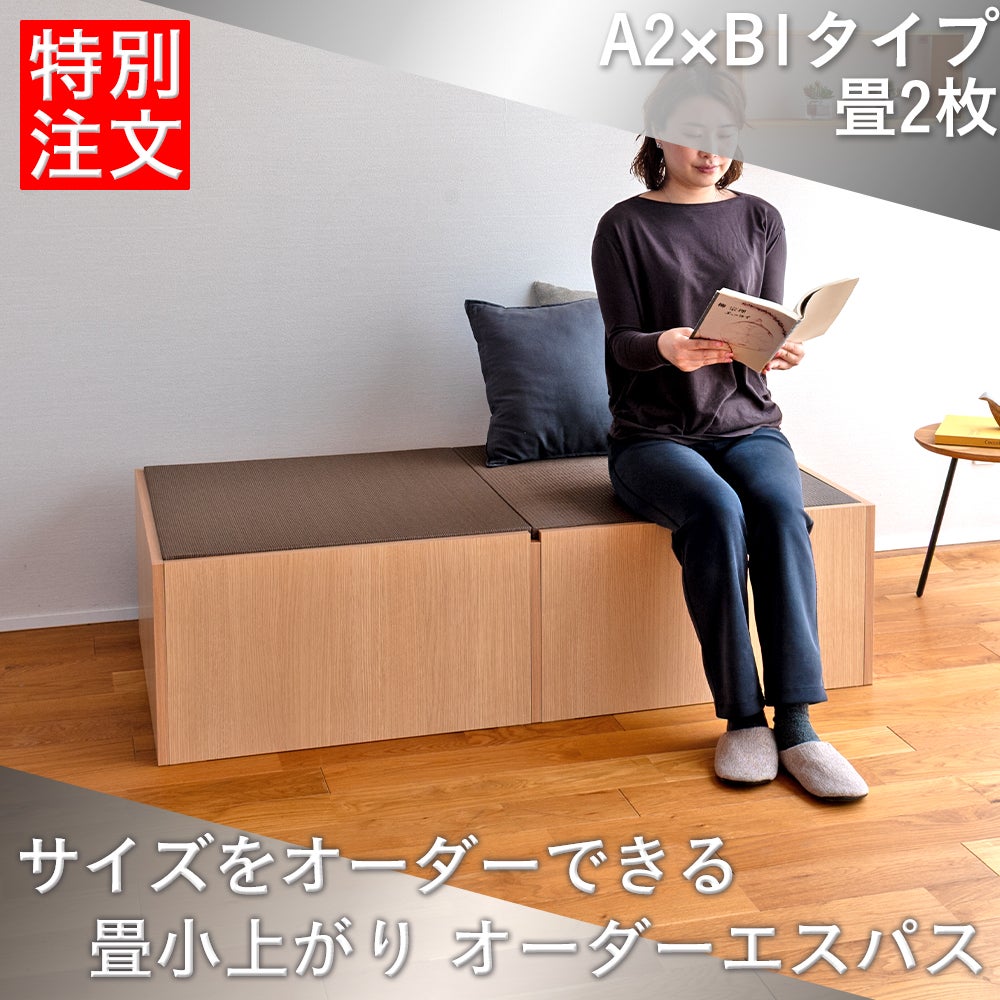 オーダーエスパス A2×B1 収納BOX2個タイプ