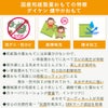 国産和紙製畳おもての特長